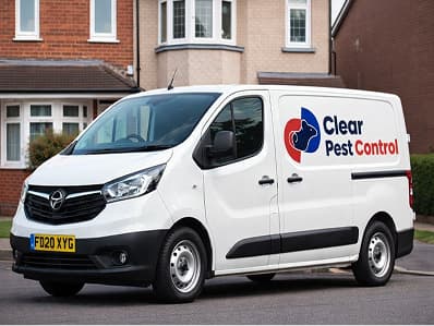 Pest Control for Your Home or Business